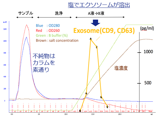 ExoPUA精製チャート